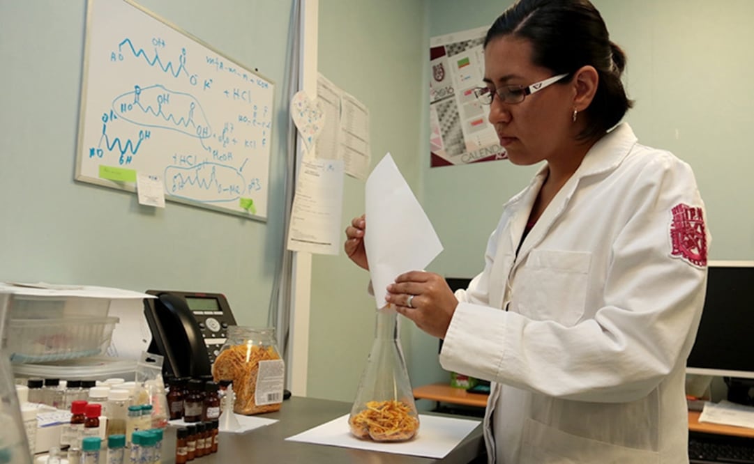 (FOTO: Archivo/EL UNIVERSAL)