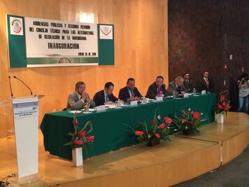 Gobierno podría modificar portabilidad permitida de marihuana: Mondragón