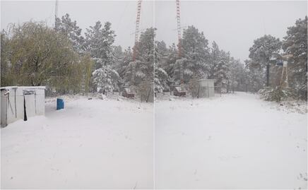 Tormenta invernal impacta Chihuahua; nevadas, vientos y daños en servicios básicos