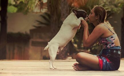 Cuidan tu mascota por ti