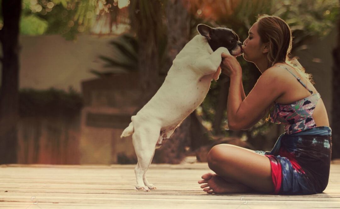 Para minimizar las posibles quejas el portal sirve como medio de comunicación constante entre el dueño y el cuidador, ya sea a través de mensajes, así como del envío de fotografías o de videos