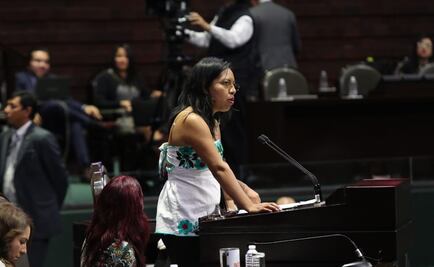 Diputados celebran el Día de la Lengua Materna