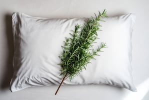 ¿Para qué sirve poner hojas de romero bajo la almohada?; conoce sus sorprendentes beneficios