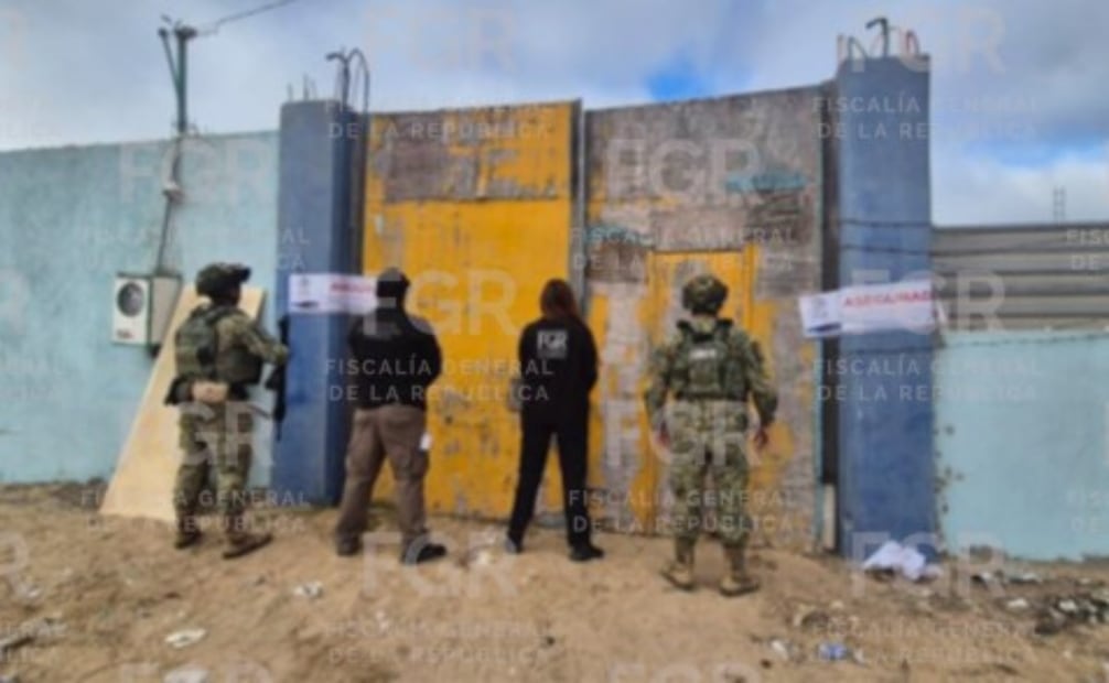 FGR asegura más de 265 kilos de marihuana en Mulegé Baja California Sur; inmueble queda bajo resguardo federal.
Foto: Especial.