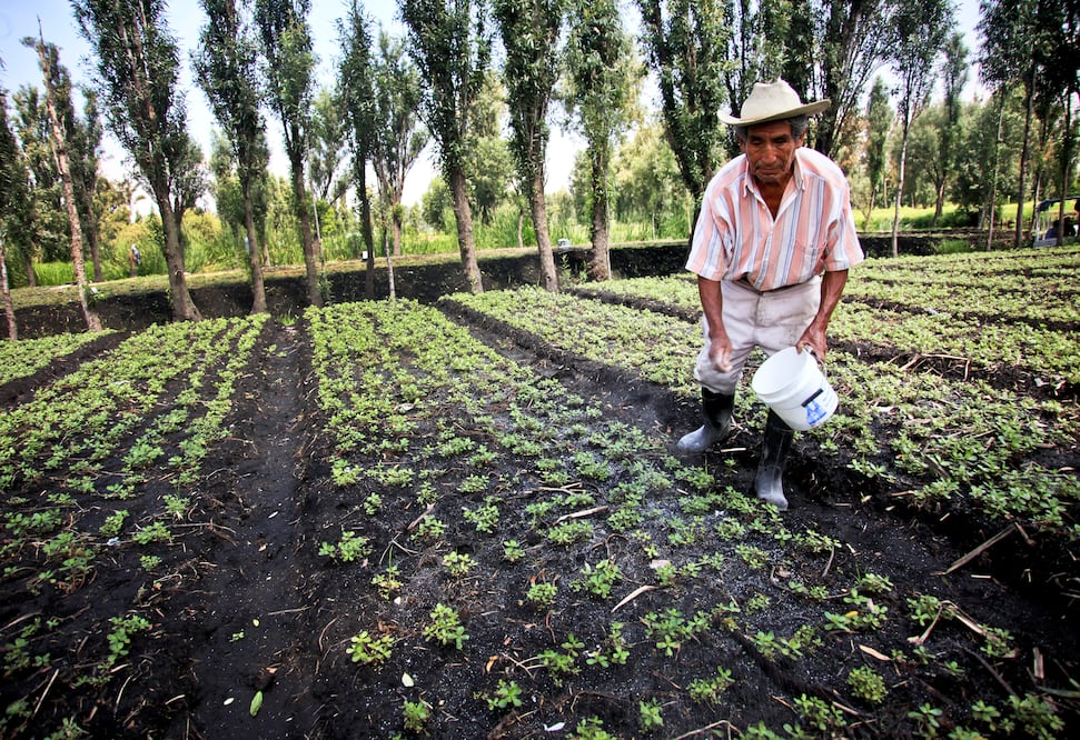 Fotografía: Archivo/ EL UNIVERSAL