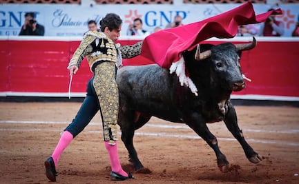 PT plantea cárcel para quienes organicen o asistan a corridas de toros