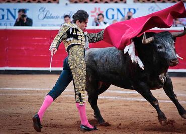 PT plantea cárcel para quienes organicen o asistan a corridas de toros