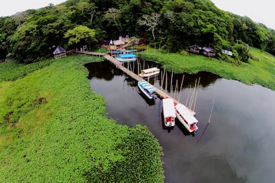 5 bosques donde escapar de la mala calidad del aire de la CDMX