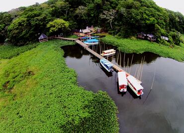 5 bosques donde escapar de la mala calidad del aire de la CDMX