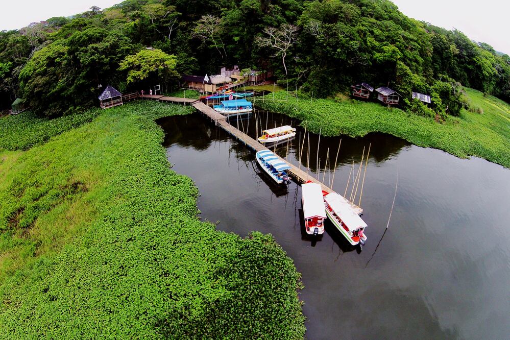 Bungalows y actividades de naturaleza en la selva de Los Tuxtlas para protegerse de la mala calidad del aire. Foto: Cortesía Reserva Ecológica Nanciyaga