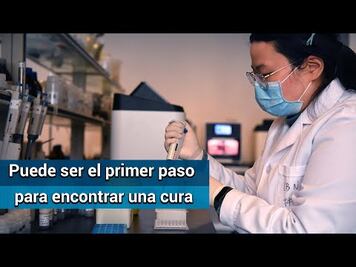 Científicos chinos descubren cómo se unió el covid-19 a las células humanas