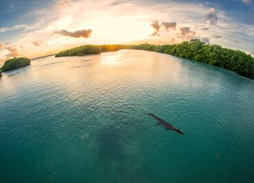 11 cosas que no sabías sobre la Reserva de la Biósfera de Sian Ka'an