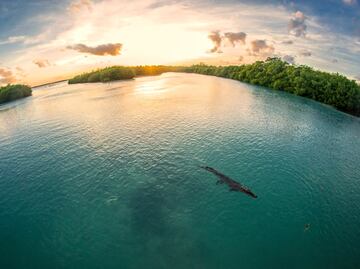 11 cosas que no sabías sobre la Reserva de la Biósfera de Sian Ka'an