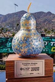 Buscan que Acapulco adopte un nuevo torneo de tenis, un Challenger 125