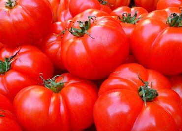 Si en julio no se tiene acuerdo México-EU por jitomate, mejor esperar a noviembre: Economía