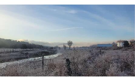 FOTOS: Con temperaturas de hasta menos 6 grados municipios de la sierra alta de Sonora amanecen escarchados 