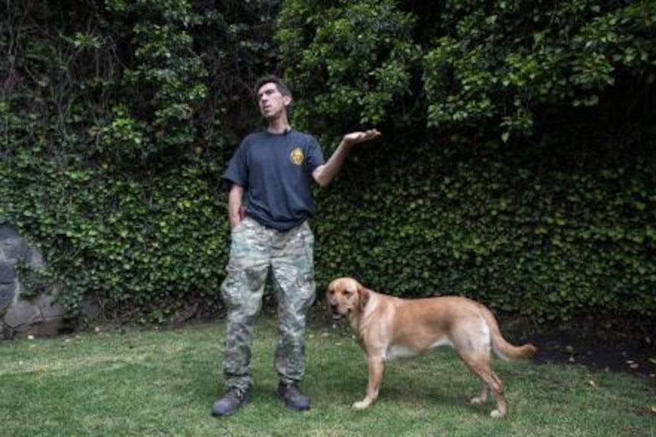 De perros de la calle a héroes