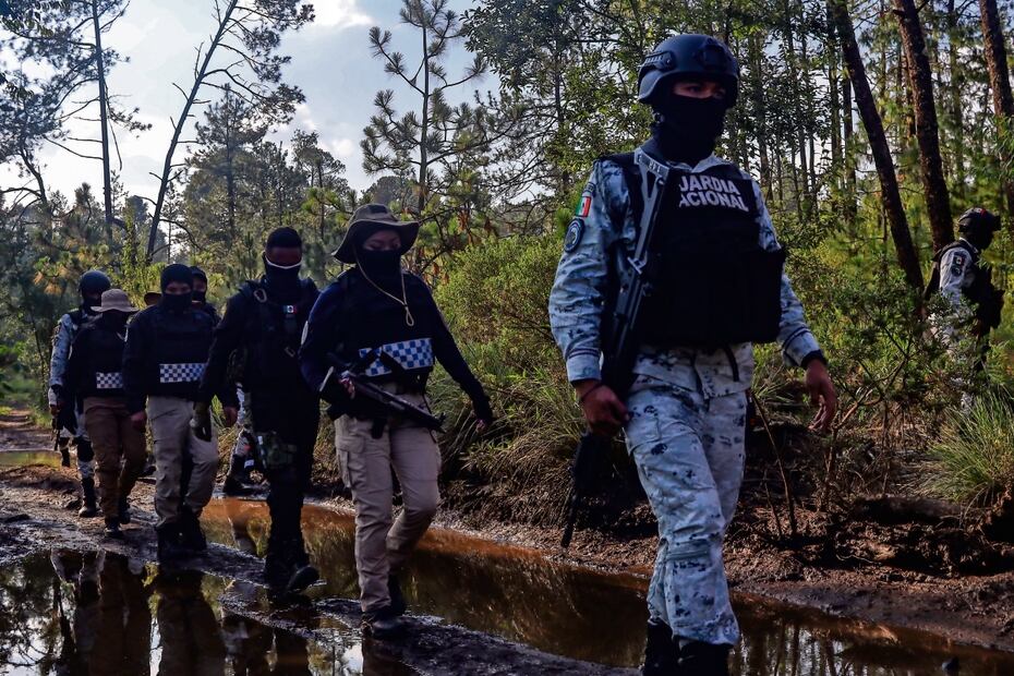 En el combate a los talamontes participan elementos de la Guardia Nacional, Ejército, Secretaría de Seguridad Ciudadana (SSC), así como inspectores y brigadistas ambientales. Foto: Hugo Salvador