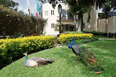 Casa Veracruz, 30 años de poder