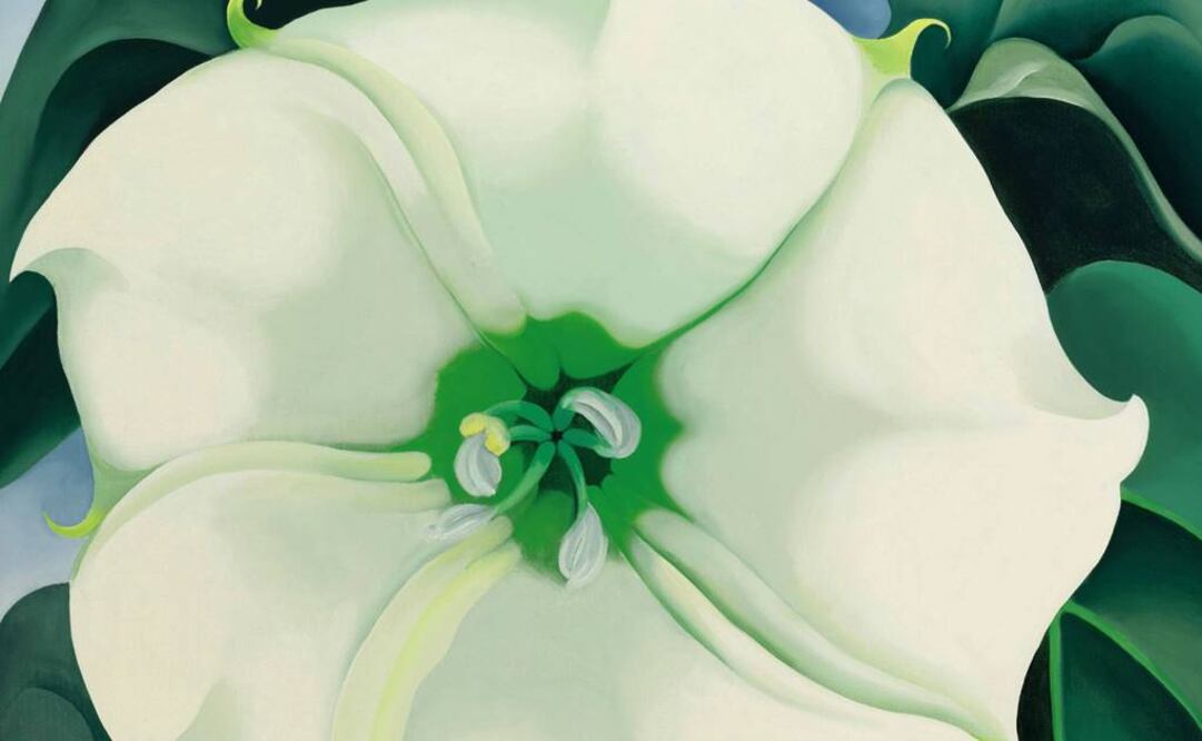 Aspecto del famoso óleo "Jimson Weed/White Flower nº1", que fue adquirido por un particular en 2014 por 44.4 millones de dólares. (FOTO: Especial)