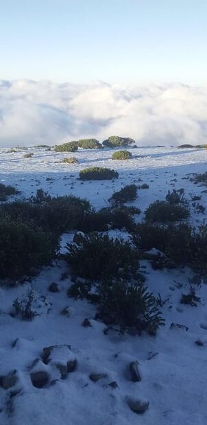 Primera nevada deja capa de 7 a 9 centímetros en Galeana, Nuevo León: FOTOS 