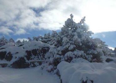 Sierra de Chihuahua registra las primeras nevadas