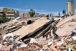 OMS teme aparición de brotes de enfermedades tras terremotos en Venezuela; servicios de salud, bajo presión extrema, advierte