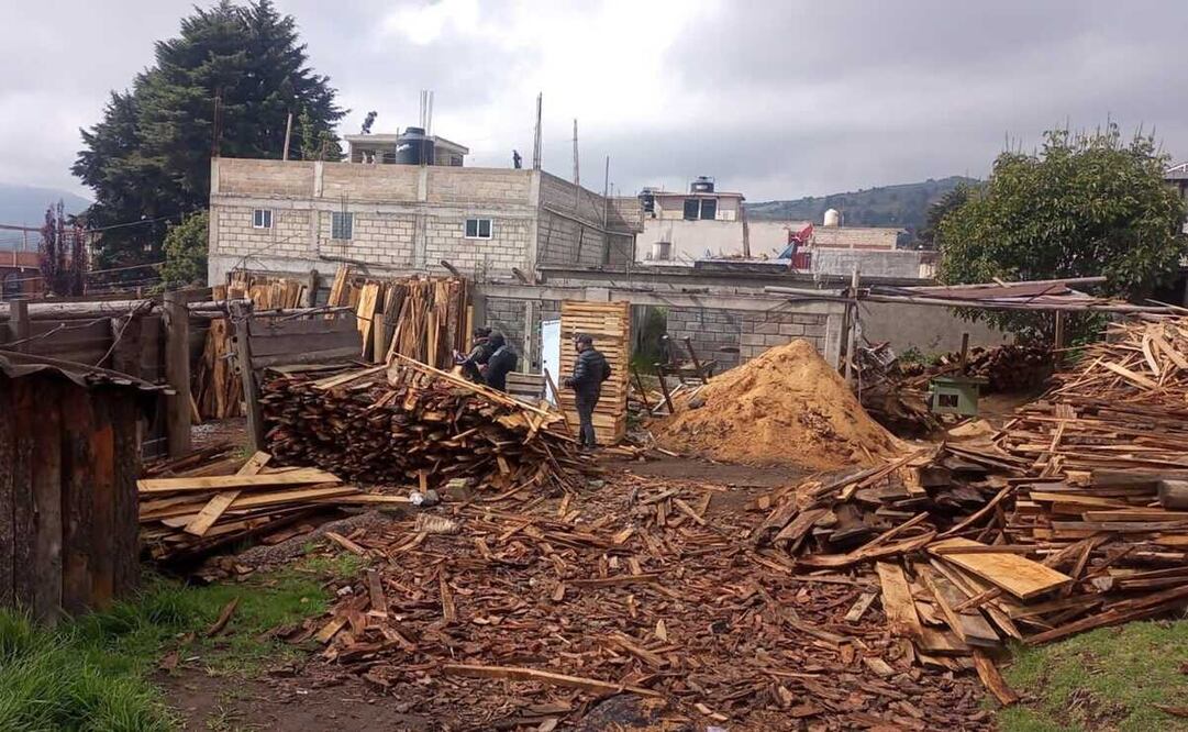 El operativo se realizó este 27 de junio con la participación de la Profepa, la Sedema, la SSC, la GN y la Sedena. Foto: Especial