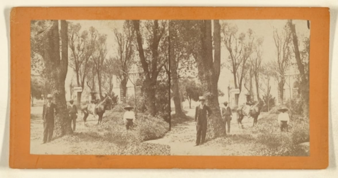 Las extintas albercas que estaban en la colonia Juárez