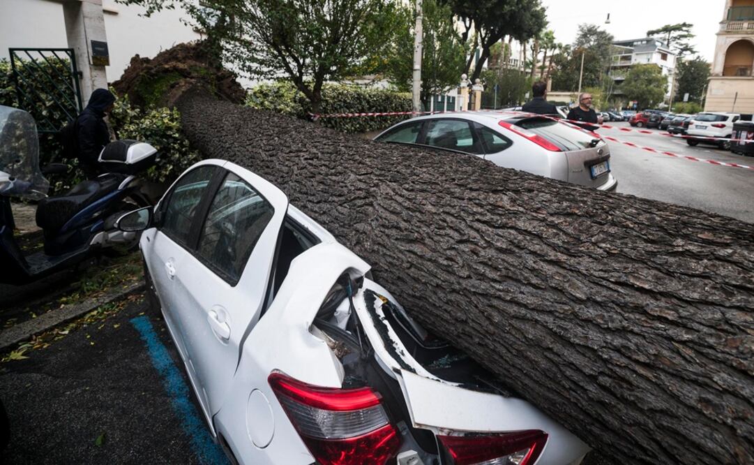 Un bombero murió al caerle encima un árbol cerca de Bolzano, en Alto-Adigio. Foto:AP