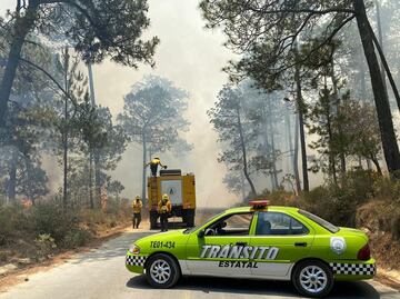 Por altas temperaturas, reportan 16 incendios forestales activos en Veracruz