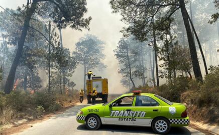 Por altas temperaturas, reportan 16 incendios forestales activos en Veracruz