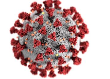 Coronavirus: qué se sabe de la variante de "doble mutación" encontrada en India