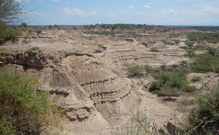 Los restos más antiguos de Homo sapiens son de hace más de 230 mil años