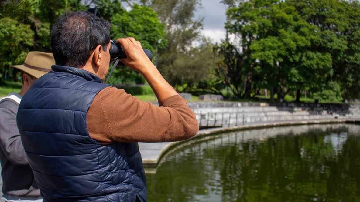 Foto: Bosque de Chapultepec