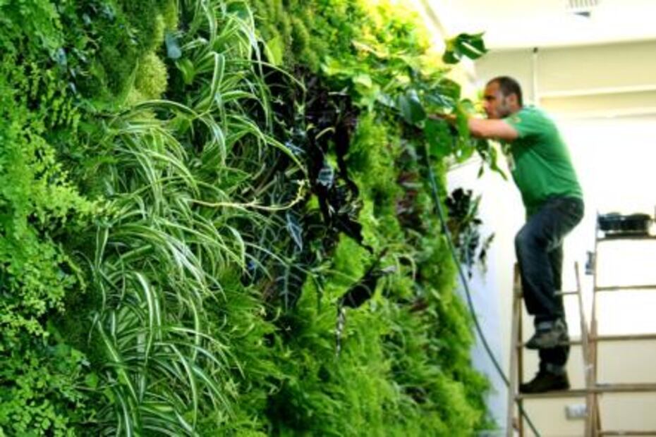 El hombre que “pinta” murales vegetales