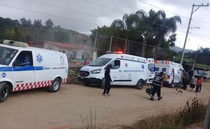 Enjambre de abejas ataca a estudiantes de primaria en Xalapa, Veracruz