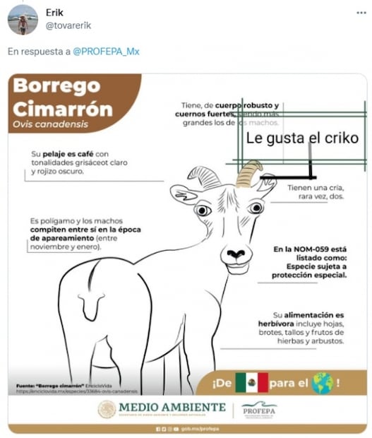 Nicolás Maduro, fiestas patrias y Kim Kardashian: las noticias de la semana, en memes