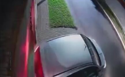 Ladrones balean a perrito y golpean a dueña de la tercera edad en Argentina