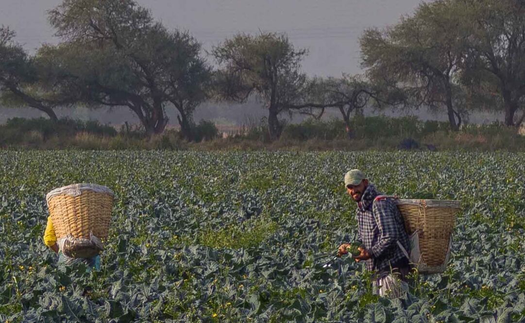 Foto Archivo EL UNIVERSAL