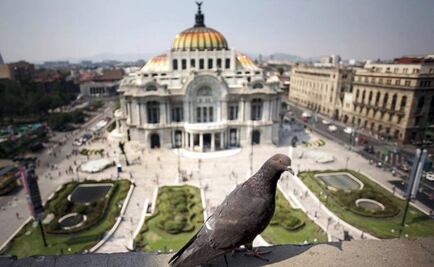 NYT: DF, destino turístico número uno en 2016