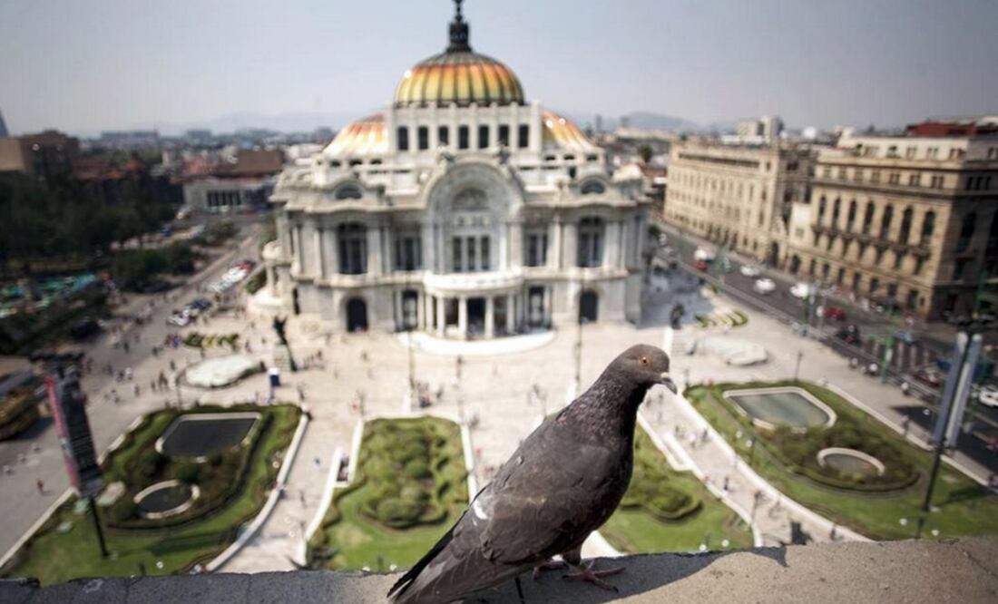 ARCHIVO / EL UNIVERSAL