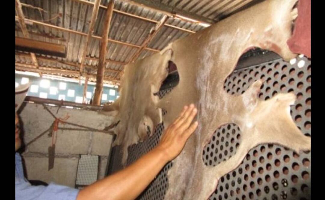 Archivo / EL UNIVERSAL