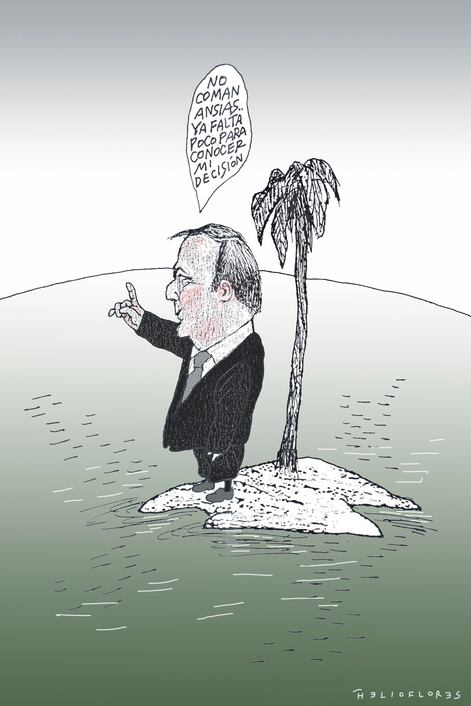 Cartón de HELIOFLORES