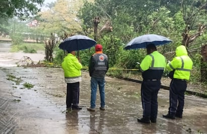 Frente frío 8 deja daños en 19 municipios de Veracruz