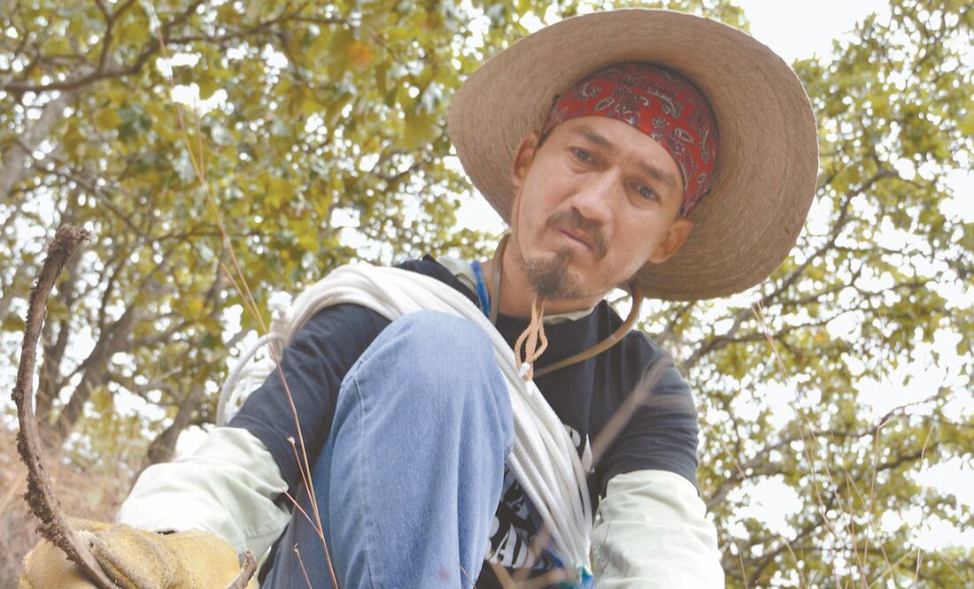 buscador Mario Vergara