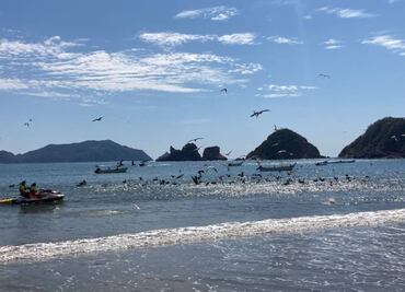 A una semana de ataque de tiburón reabren playa de Melaque y Barra de Navidad en Jalisco