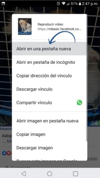 Paso a paso, así puedes descargar un video de Facebook