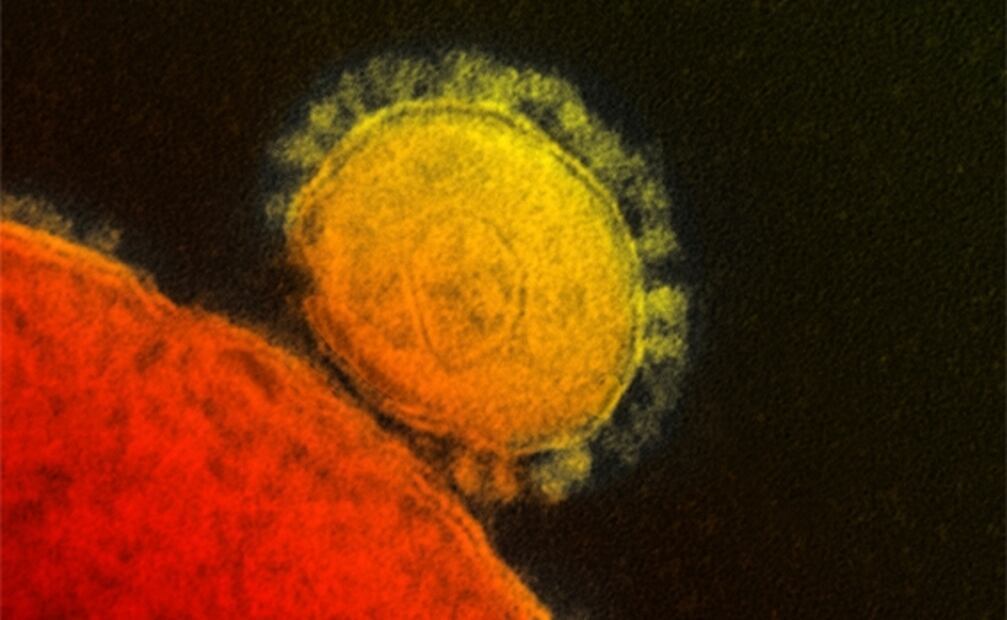 Covid-19. Crean potente antiviral procedente de las llamas contra el coronavirus