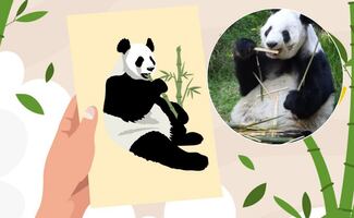 "Xin Xin me inspira": ¿cómo participar en la exposición de cartas ilustradas?; consulta aquí